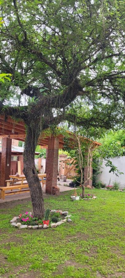 Casa De Campo- Terra Viva