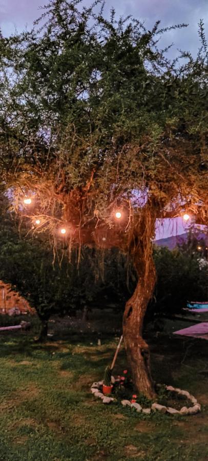 Casa De Campo- Terra Viva * San Salvador de Jujuy